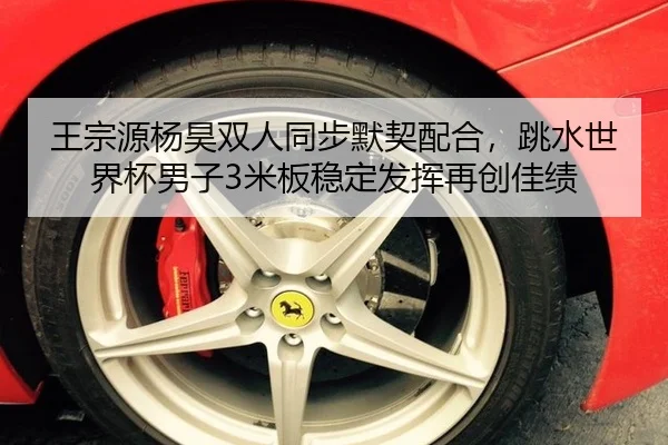 王宗源杨昊双人同步默契配合，跳水世界杯男子3米板稳定发挥再创佳绩
