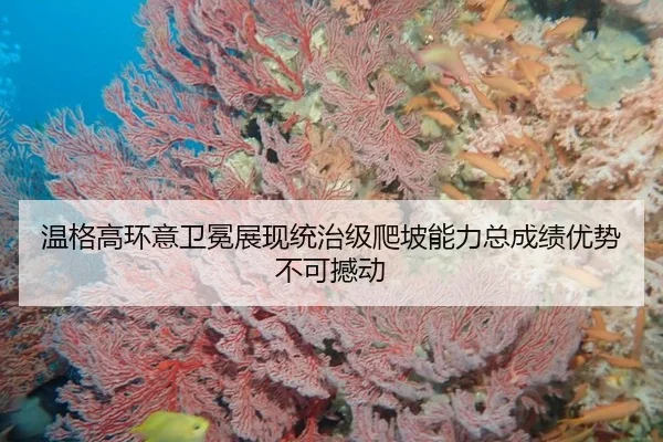 温格高环意卫冕展现统治级爬坡能力总成绩优势不可撼动