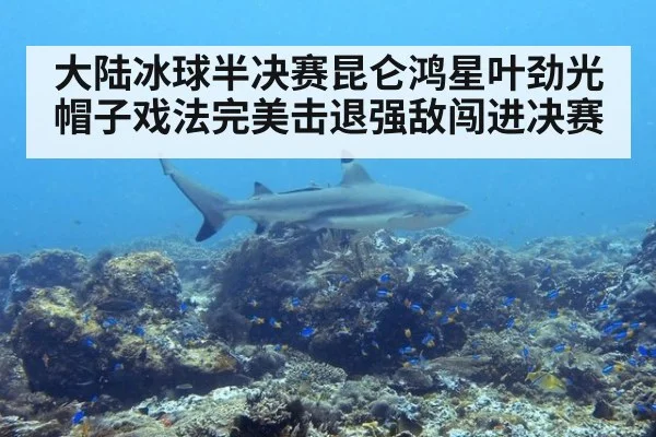 大陆冰球半决赛昆仑鸿星叶劲光帽子戏法完美击退强敌闯进决赛